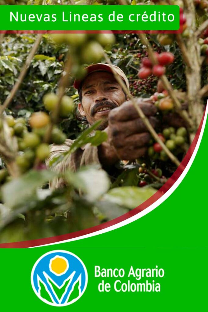 Nuevas líneas de crédito