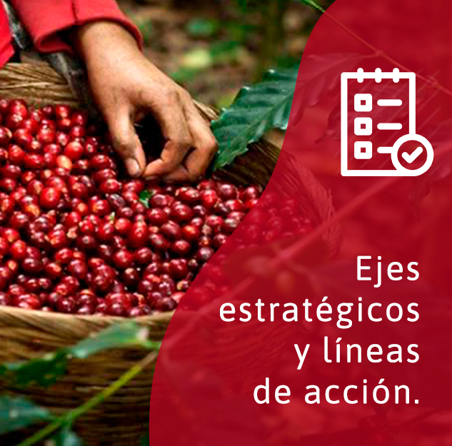 Ejes Estratégicos